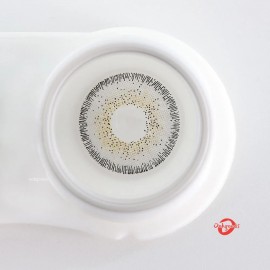 Mens Quartzo Gray Colored Contact Lenses Infuse